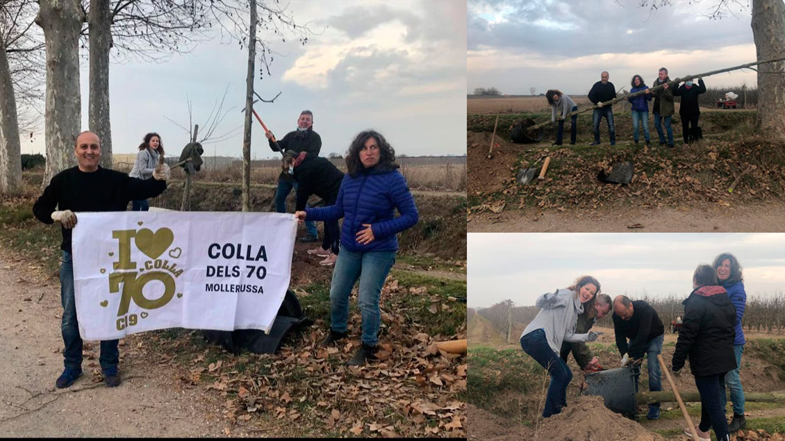 Colla dels 70 Mollerussa