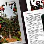 Entrevista a Pau Del Valle a la Revista l'Esclat de Golmés