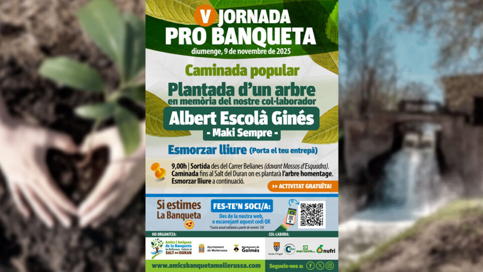 Cartell de la V Jornada Pro Banqueta 2025 a Mollerussa amb caminada popular i plantada d’un arbre en memòria d’Albert Escolà Ginés.
